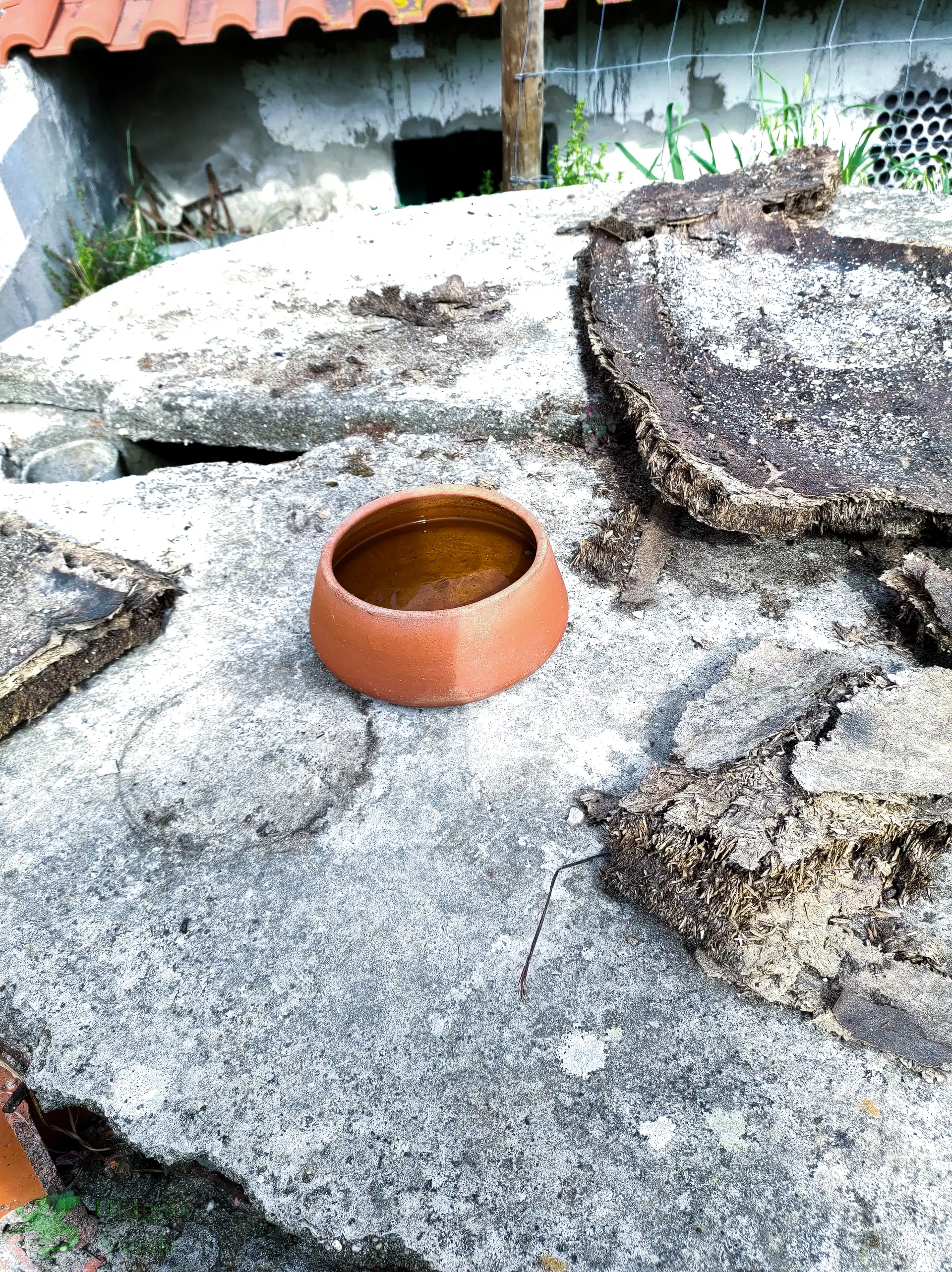 Bowl as a bird-bath on the concrete well-cover