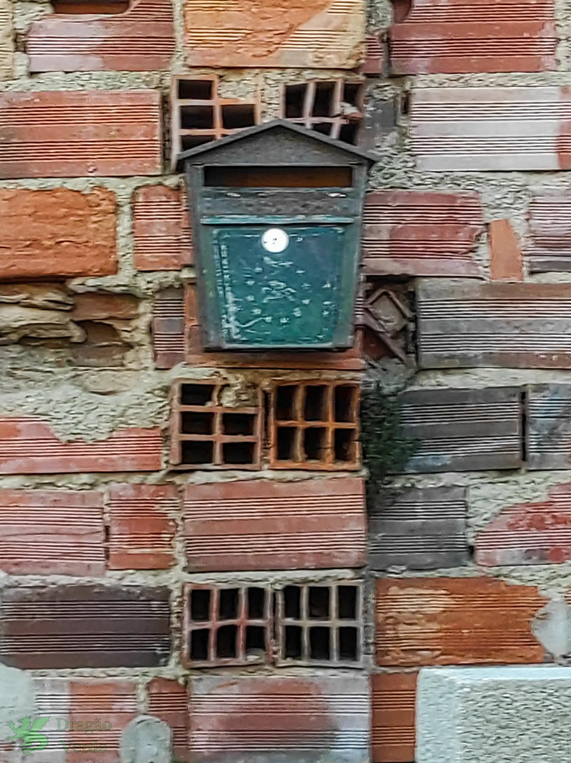 Nest-box in yard